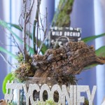 Special Event Rentals 'Planner of the Month' Display