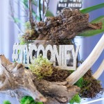 Special Event Rentals 'Planner of the Month' Display