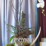 Special Event Rentals 'Planner of the Month' Display