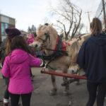 Sleigh Rides