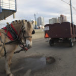 Sleigh Rides 2