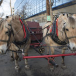 Sleigh Rides 3