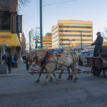 Sleigh Rides 5