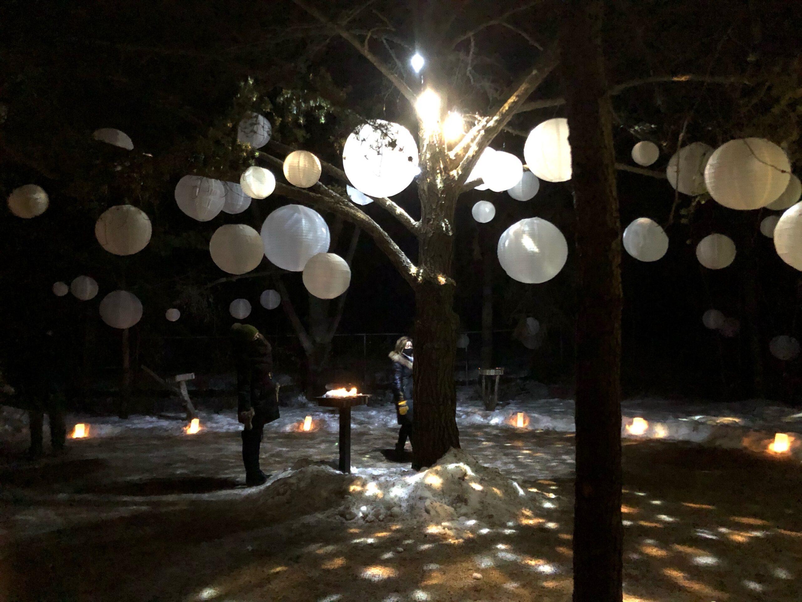 Sharing Some Love for YEGLOCAL Outdoor Winter Events Tycoon Events